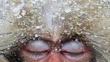 Fotogalerie: Die besten Naturfotografien 2012
