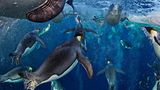 Fotogalerie: Die besten Naturfotografien 2012 - Bild 2