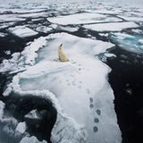 Fotogalerie: Die besten Naturfotografien 2012 - Bild 3