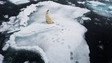 Fotogalerie: Die besten Naturfotografien 2012 - Bild 3