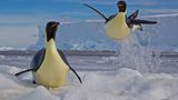 Fotogalerie: Die besten Naturfotografien 2012 - Bild 4