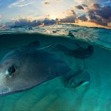 Fotogalerie: Die besten Naturfotografien 2012 - Bild 7