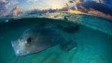 Fotogalerie: Die besten Naturfotografien 2012 - Bild 7