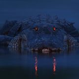 Fotogalerie: Die besten Naturfotografien 2012 - Bild 8