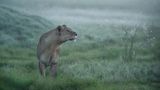 Fotogalerie: Die besten Naturfotografien 2012 - Bild 9