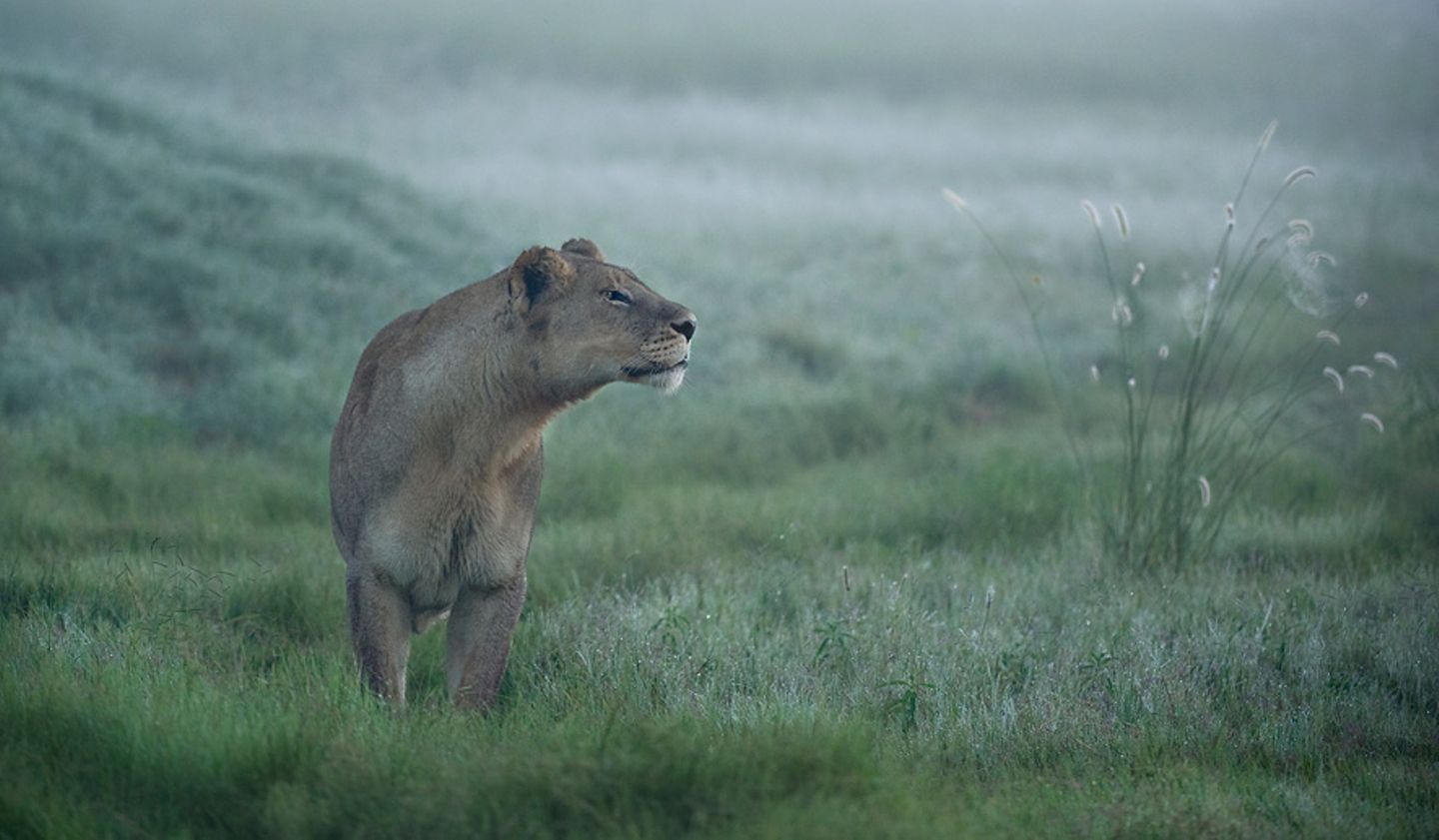 Fotogalerie: Die besten Naturfotografien 2012 - Bild 9