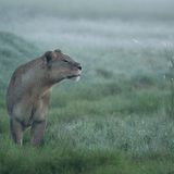 Fotogalerie: Die besten Naturfotografien 2012 - Bild 9