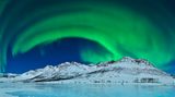 Fotogalerie: Die besten Naturfotografien 2012 - Bild 10