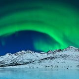 Fotogalerie: Die besten Naturfotografien 2012 - Bild 10