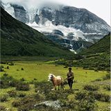 Fotogalerie: Spirituelle Reise zum Himalaya - Bild 3