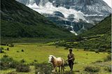 Fotogalerie: Spirituelle Reise zum Himalaya - Bild 3
