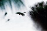 Fotogalerie: Spirituelle Reise zum Himalaya - Bild 8