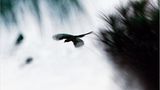 Fotogalerie: Spirituelle Reise zum Himalaya - Bild 8