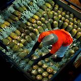 Fotogalerie: Naturwunder Costa Rica - Bild 2