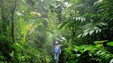 Fotogalerie: Naturwunder Costa Rica - Bild 7