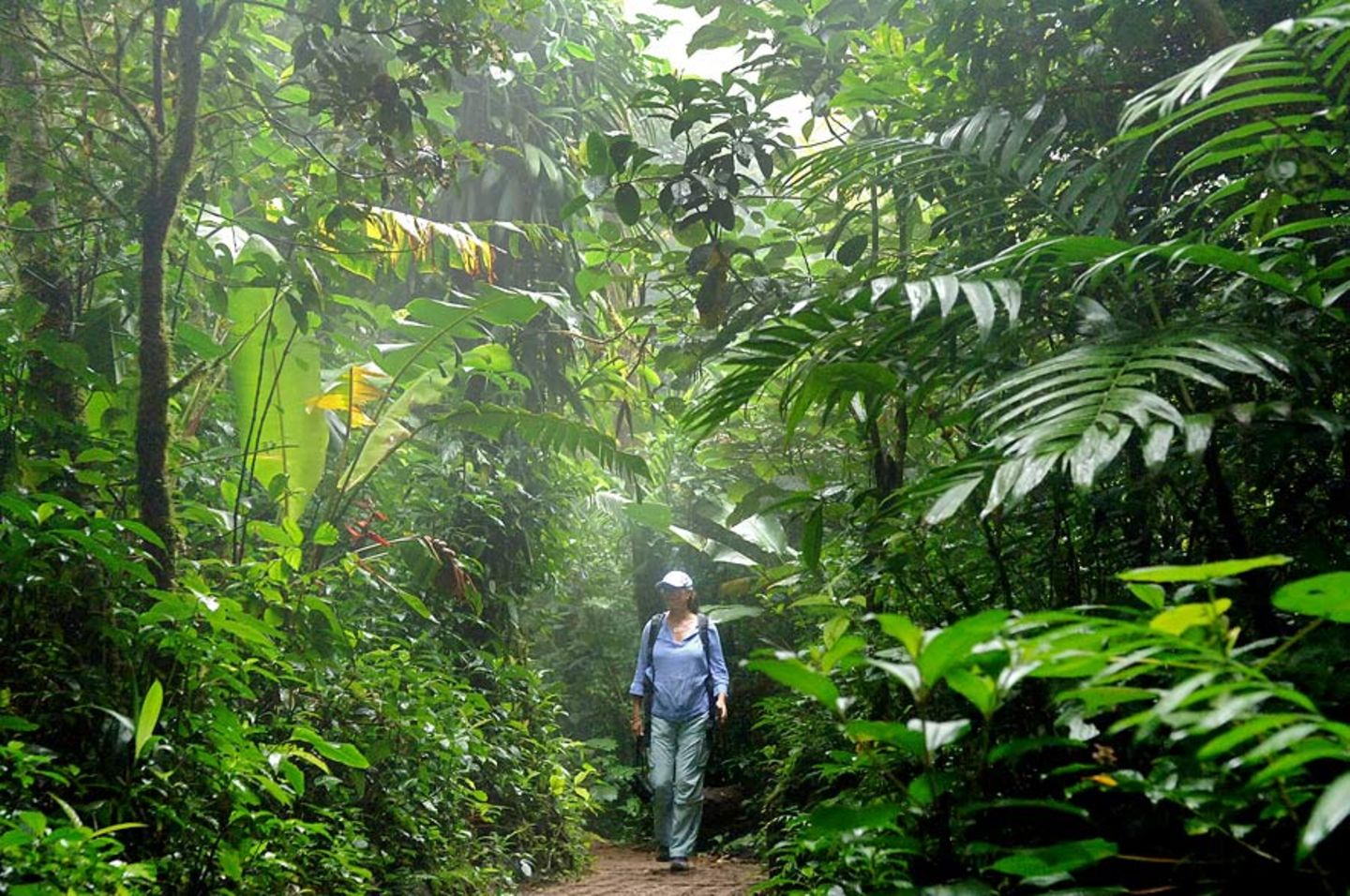 Fotogalerie: Naturwunder Costa Rica - Bild 7