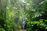 Fotogalerie: Naturwunder Costa Rica - Bild 7