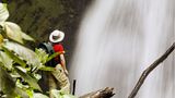 Fotogalerie: Naturwunder Costa Rica - Bild 8