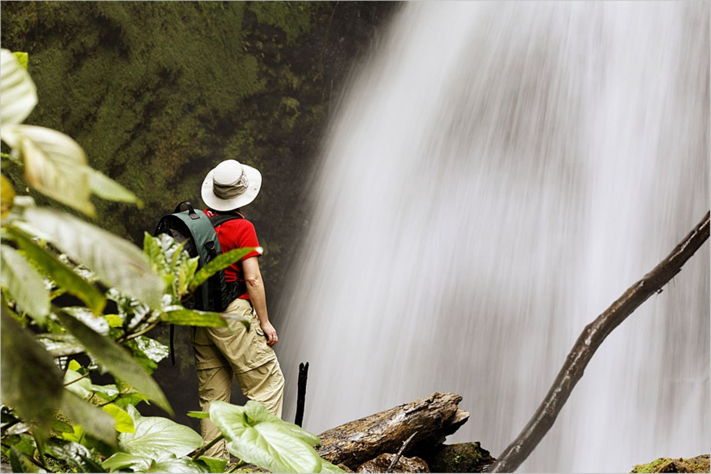 Fotogalerie: Naturwunder Costa Rica - Bild 8