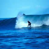 Fotogalerie: Naturwunder Costa Rica - Bild 10