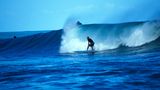 Fotogalerie: Naturwunder Costa Rica - Bild 10