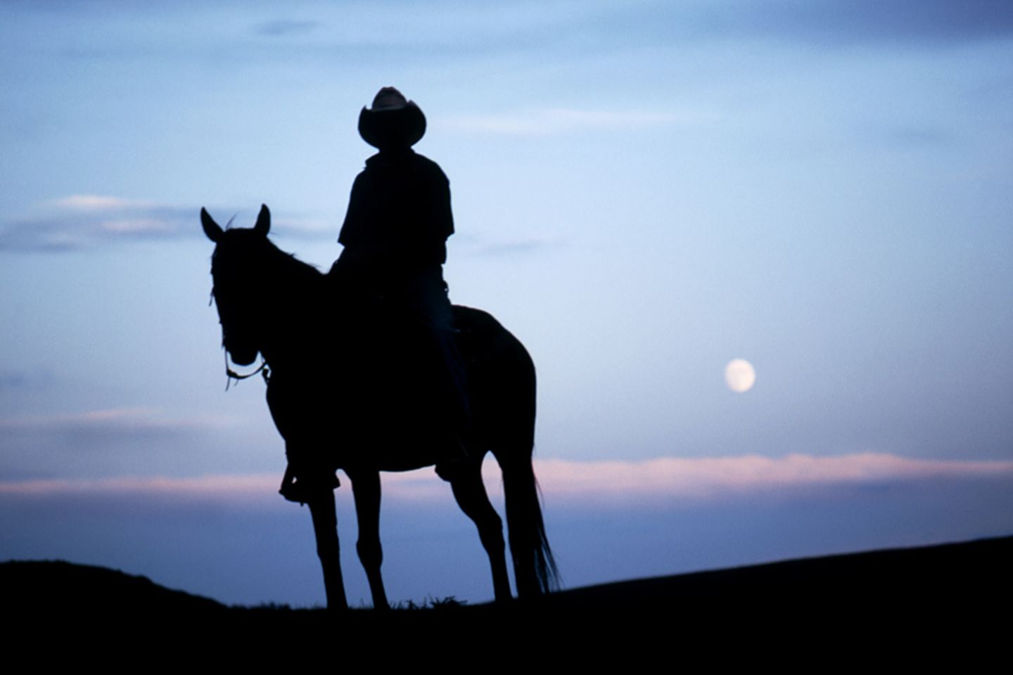Cowboy
