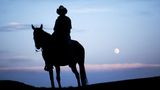 Cowboy