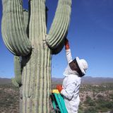 Fotogalerie: "More Than Honey"