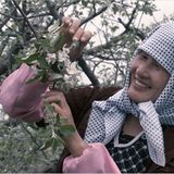 Fotogalerie: "More Than Honey" - Bild 11