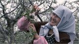 Fotogalerie: "More Than Honey" - Bild 11