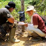 Tiger: Bedrohte Jäger - Bild 7