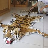 Tiger: Bedrohte Jäger - Bild 9