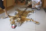 Tiger: Bedrohte Jäger - Bild 9