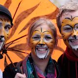 Tiger: Bedrohte Jäger - Bild 10