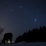 Fotogalerie: Die besten europäischen Naturfotografen