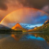 Fotogalerie: Die besten europäischen Naturfotografen - Bild 8