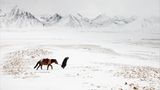 Pamir: Fotogalerie: Pamir - Bild 2