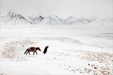 Pamir: Fotogalerie: Pamir - Bild 2