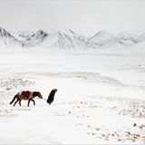 Pamir: Fotogalerie: Pamir - Bild 2
