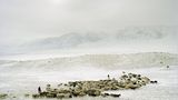 Pamir: Fotogalerie: Pamir - Bild 3