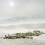 Pamir: Fotogalerie: Pamir - Bild 3