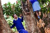 Fotostrecke: Unicef Uganda: Uganda: Victorias zweite Einschulung - Bild 6