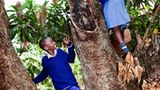Fotostrecke: Unicef Uganda: Uganda: Victorias zweite Einschulung - Bild 6