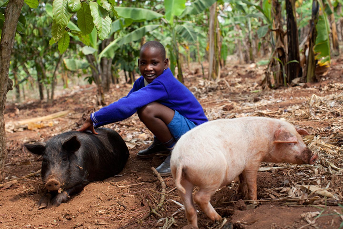 Fotostrecke: Unicef Uganda: Uganda: Victorias zweite Einschulung - Bild 10