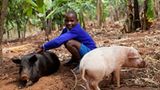 Fotostrecke: Unicef Uganda: Uganda: Victorias zweite Einschulung - Bild 10