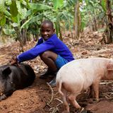 Fotostrecke: Unicef Uganda: Uganda: Victorias zweite Einschulung - Bild 10