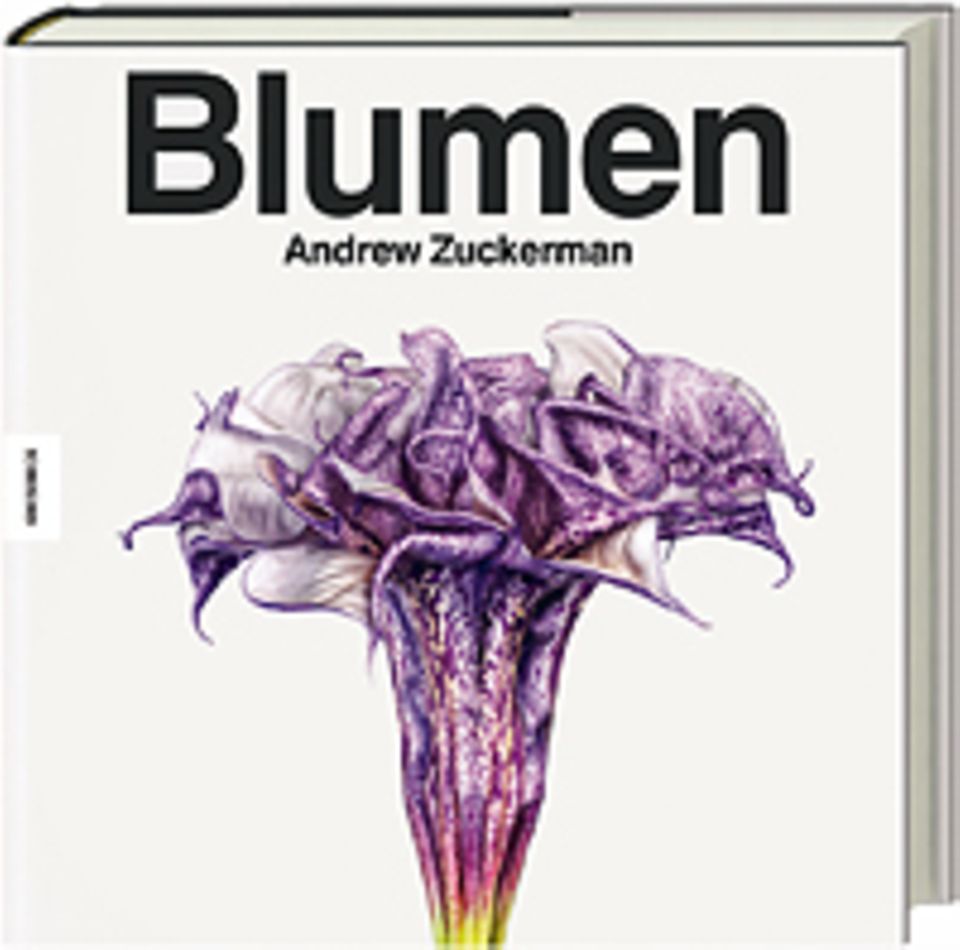 Fotogalerie: Andrew Zuckerman Blumen Knesebeck Verlag Gebunden, 300 Seiten mit 200 farbigen Abbildungen 68,- Euro