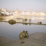 Fotogalerie: Momentaufnahme Indien - Bild 4