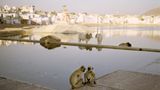Fotogalerie: Momentaufnahme Indien - Bild 4