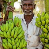 Fotogalerie: Momentaufnahme Indien - Bild 5